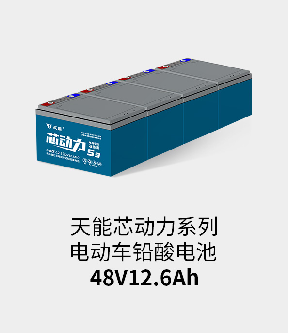 ag˹ƽ̨48v12ah